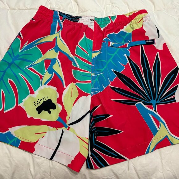 Rare Chubbies: Lined Swim Trunk (5.5") M - Picture 4 of 4